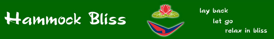 USA Header