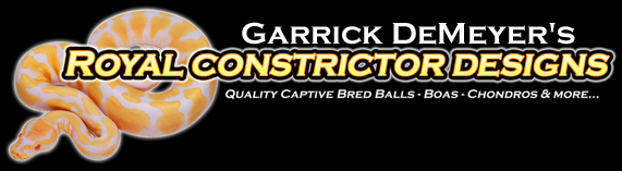 Royal Constrictor Designs