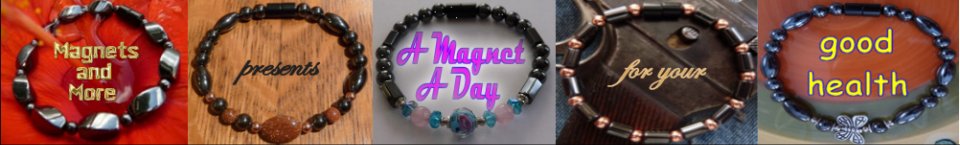 AMagnetADay Header